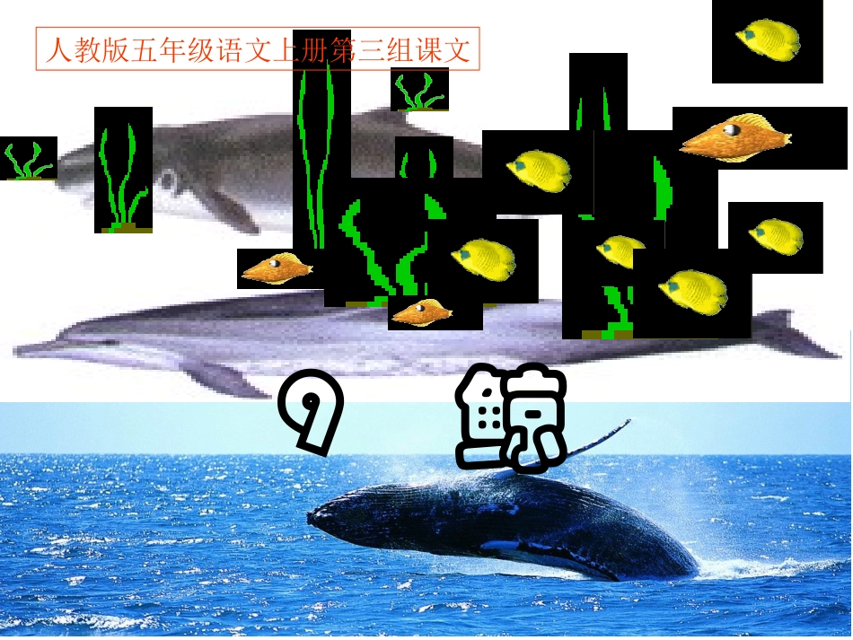 （中小学资料《鲸》PPT课件_第1页