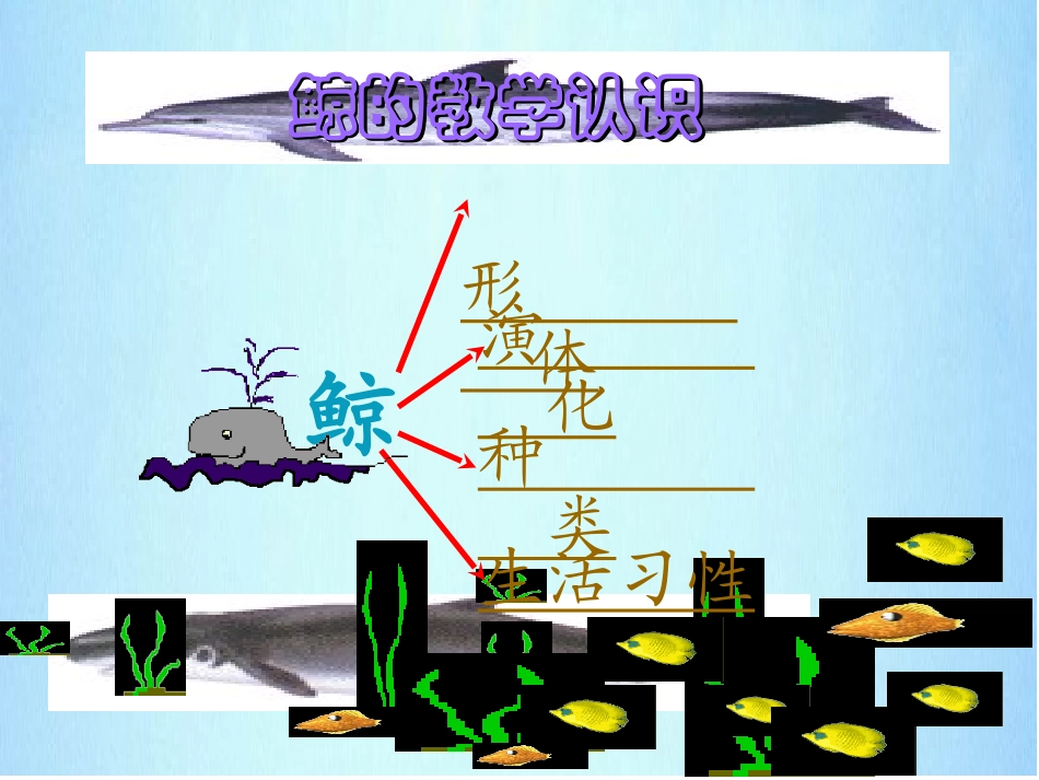 （中小学资料《鲸》PPT课件_第2页