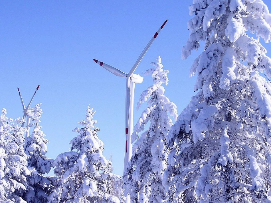 《美丽的小兴安岭》教学课件_第1页