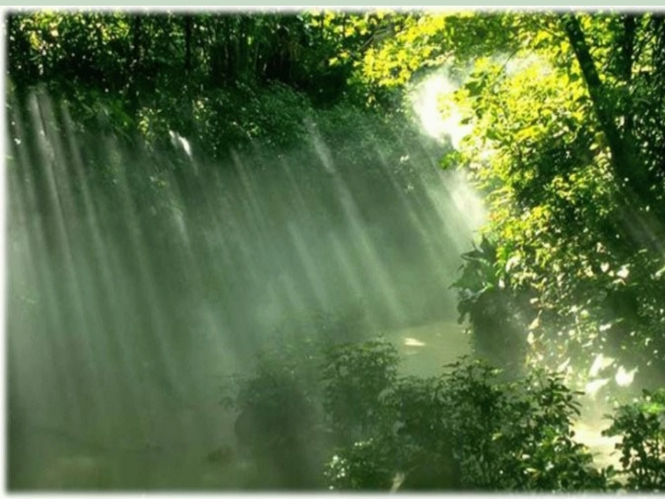 《美丽的小兴安岭》教学课件_第3页