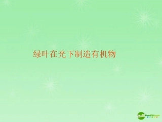 七年级生物上册_绿叶在光下制造有机物课件_新人教版