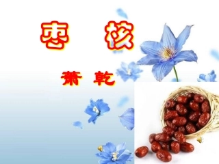 、《枣核》资源