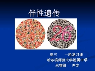 伴性遗传异构哈师大尹冰