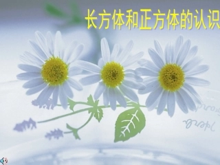 长方体和正方体