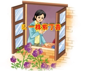 第五课一株紫丁香