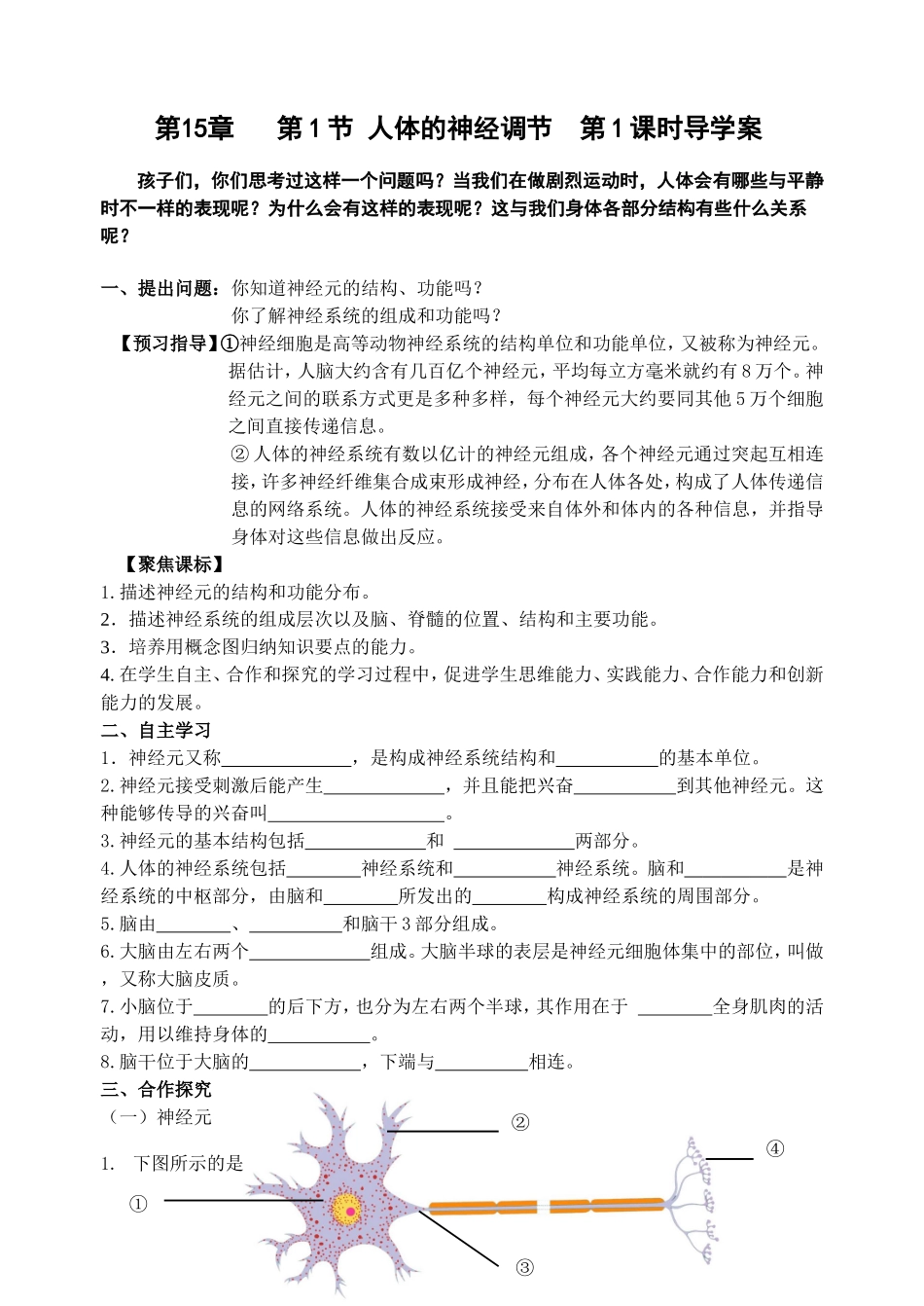 人体的神经调节导学案_第1页