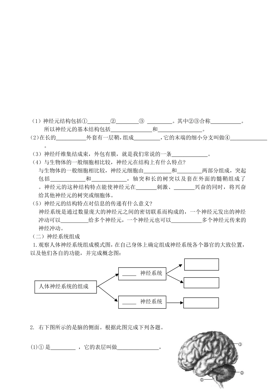 人体的神经调节导学案_第2页