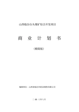 临汾台头煤矿综合开发项目商业计划书
