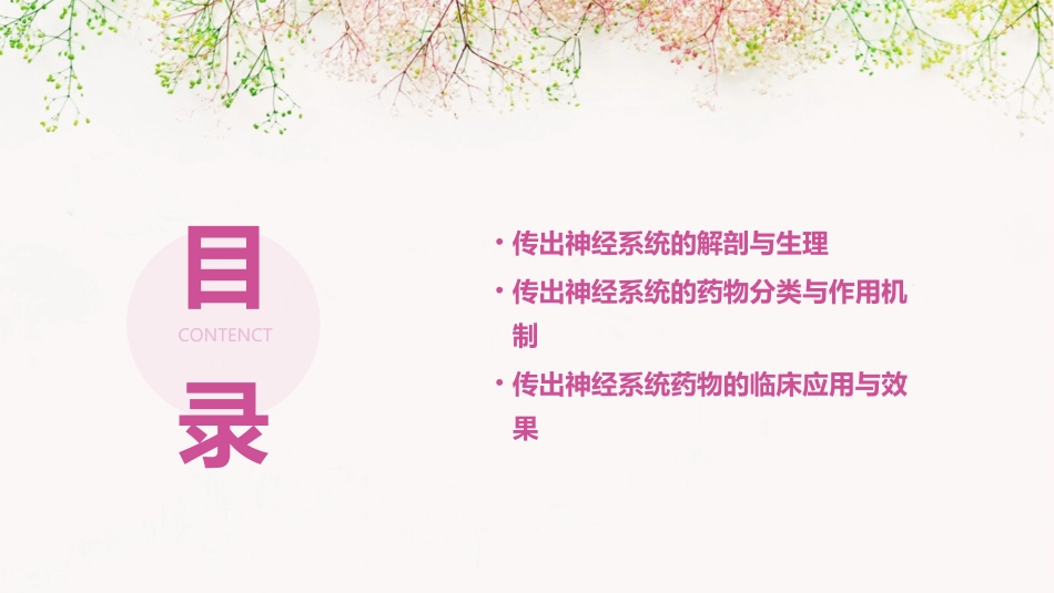 沈大医院传出神经系统药理课件_第2页