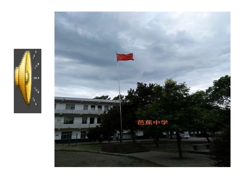 临江仙排球赛_第2页