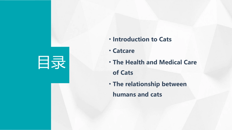 介绍猫的英文课件_第2页