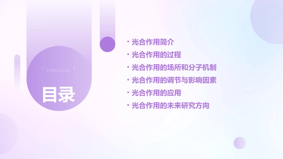 光合作用的过程课件_第2页