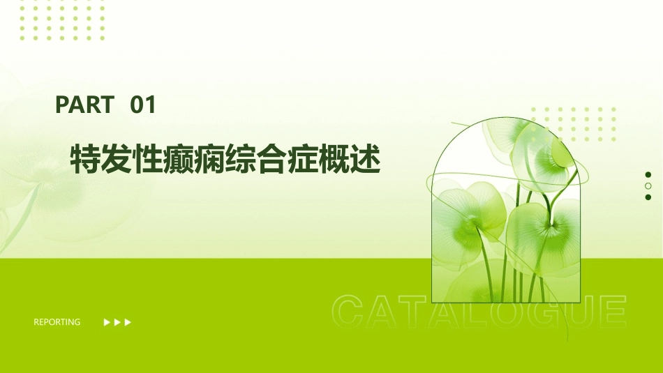 特发性癫痫综合症讲解课件_第3页