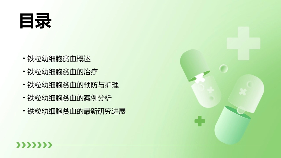 铁粒幼细胞贫血课件_第2页