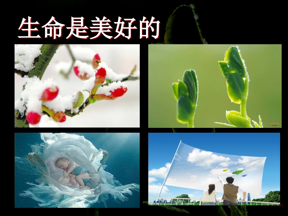 主题班会：敬畏生命_第3页