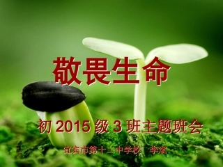 主题班会：敬畏生命