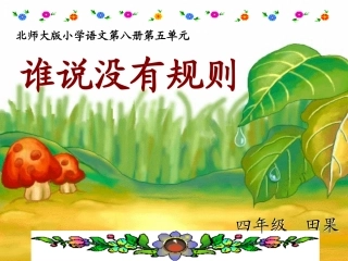 《谁说没有规则》