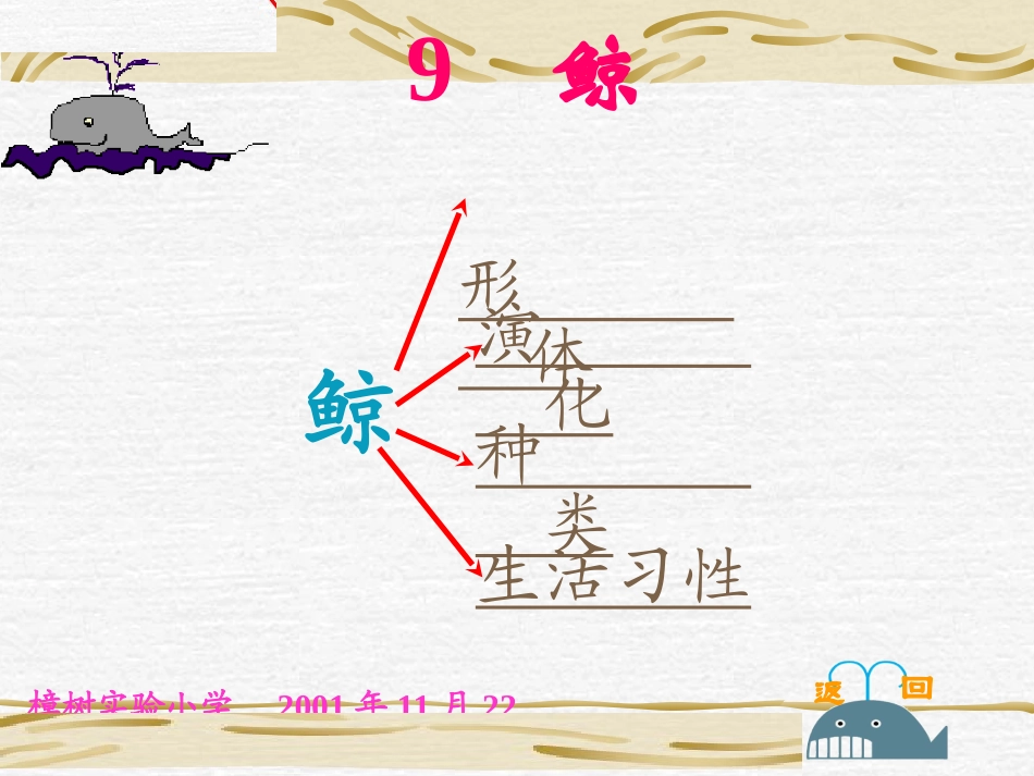 《鲸》PPT课件_第2页