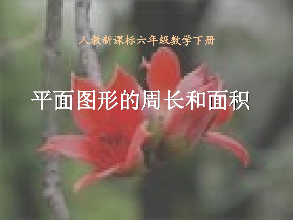 （六下平面图形的周长和面积总复习》_第2页