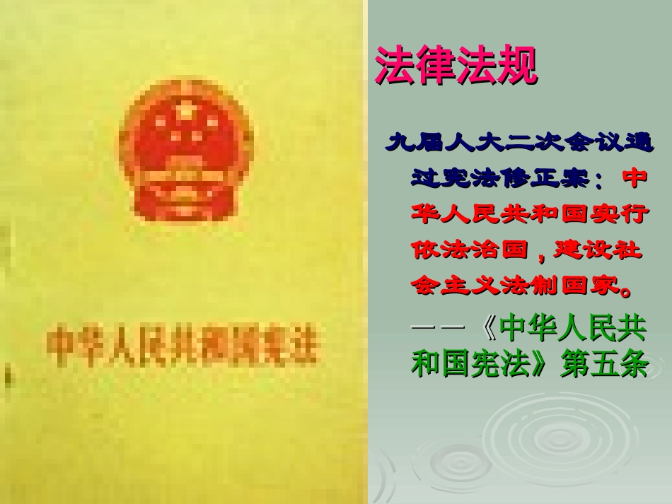 依法治国的基本要求_第3页