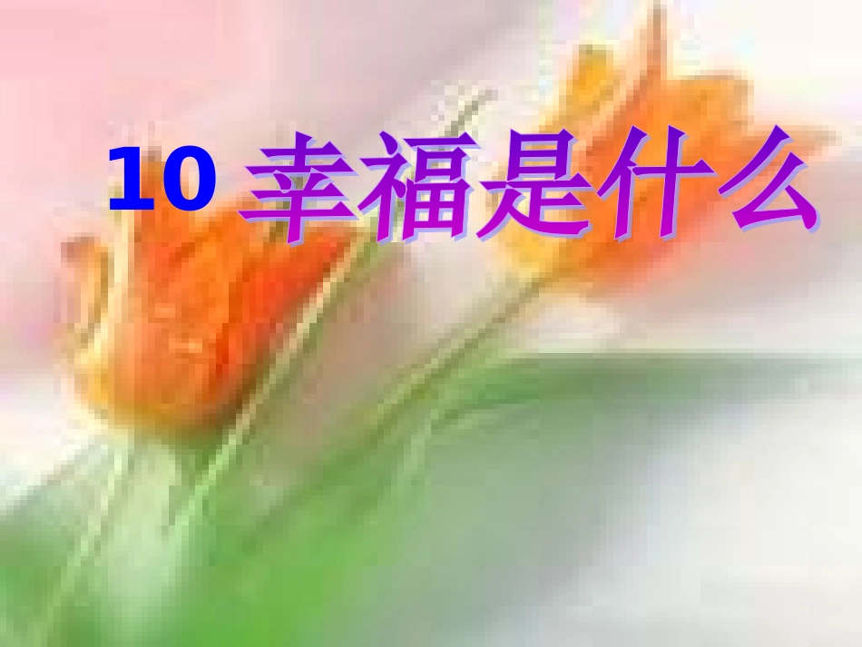 《幸福是什么》课件_第1页