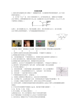光现象训练题