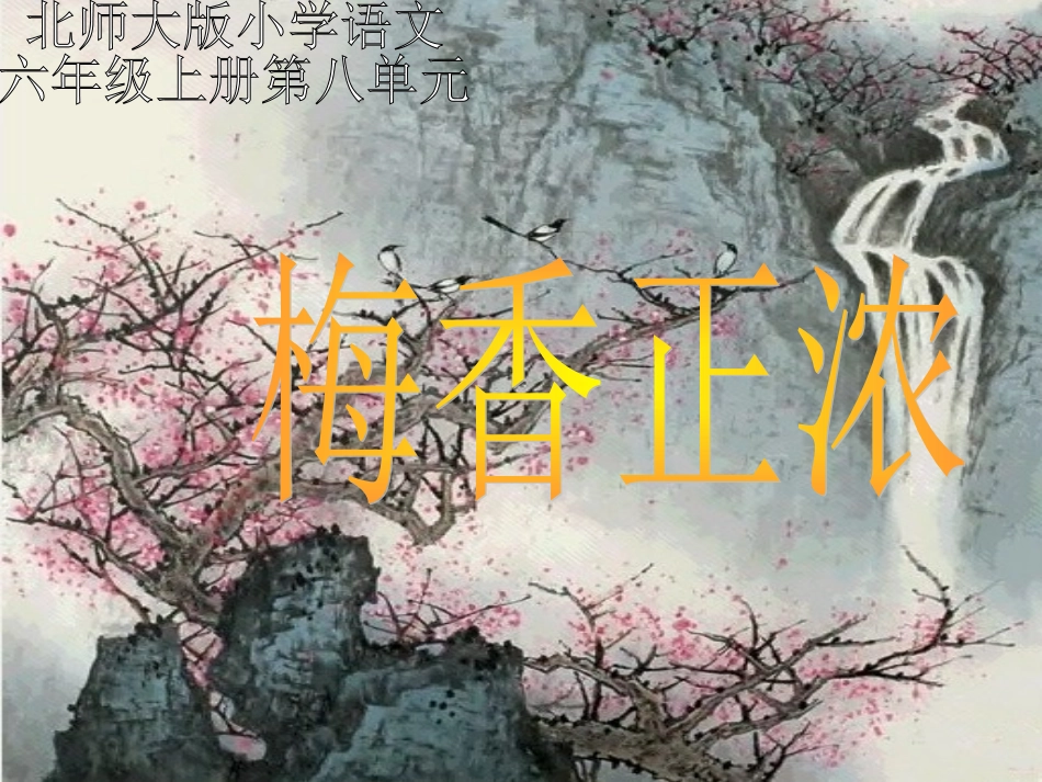 梅香正浓课件_第1页