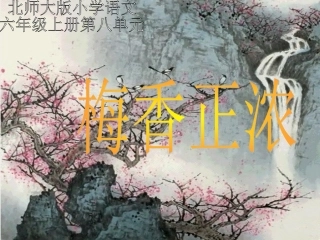 梅香正浓课件