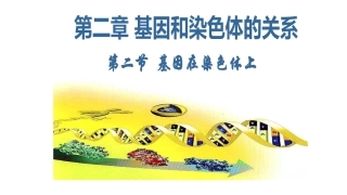 望城一中生物黄万军的教学课件：基因在染色体上