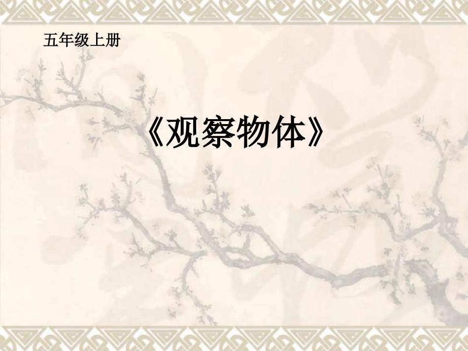 五年级上册观察物体_第1页