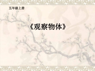 五年级上册观察物体