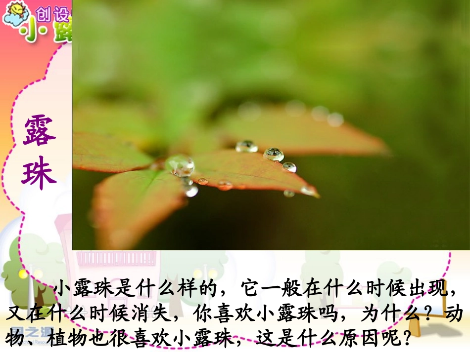 三上册《小露珠》课件_第3页