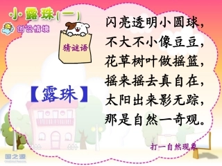 三上册《小露珠》课件