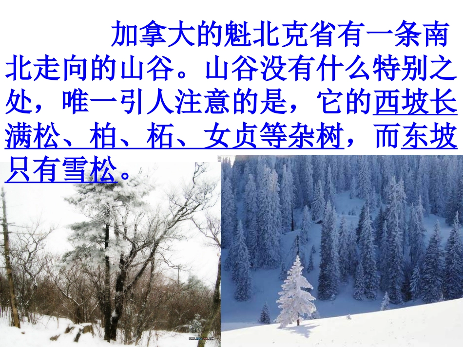 山谷中的谜底_第3页