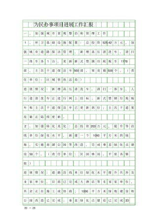 为民办事项目进展工作汇报精品工作报告