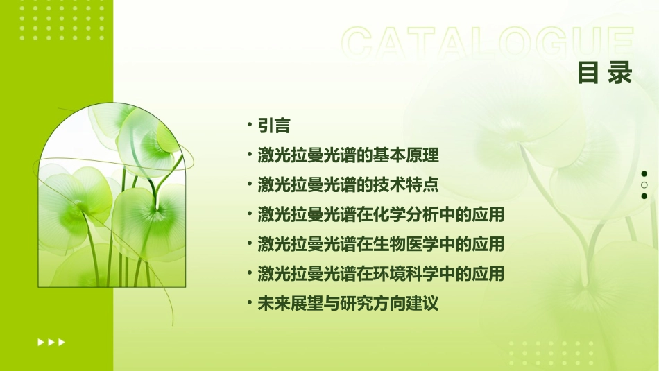 激光拉曼光谱讲解课件_第2页