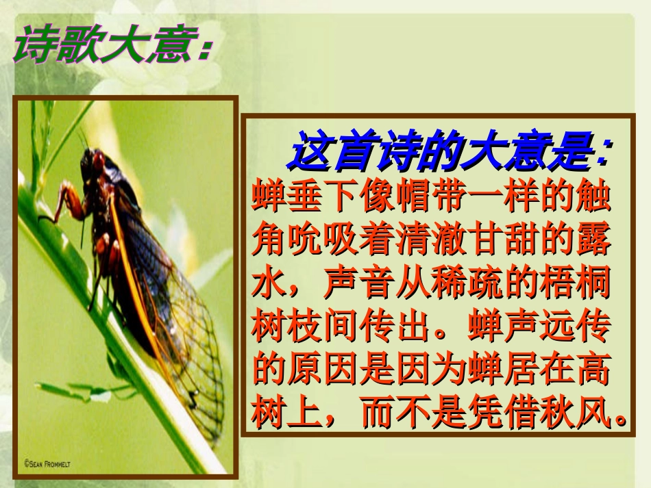 古诗三首蝉等_第3页