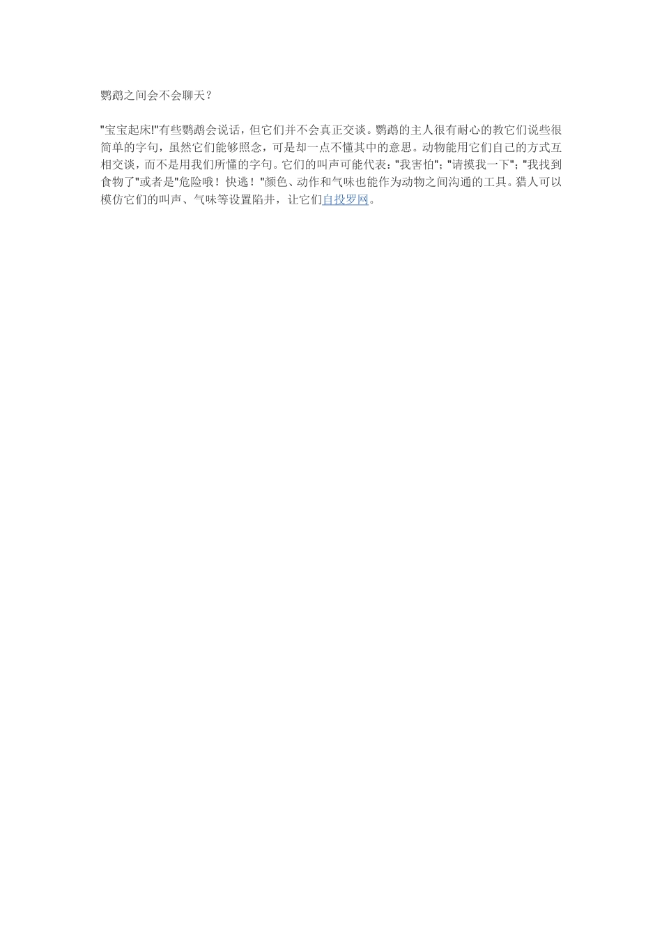 鹦鹉之间会不会聊天_第1页