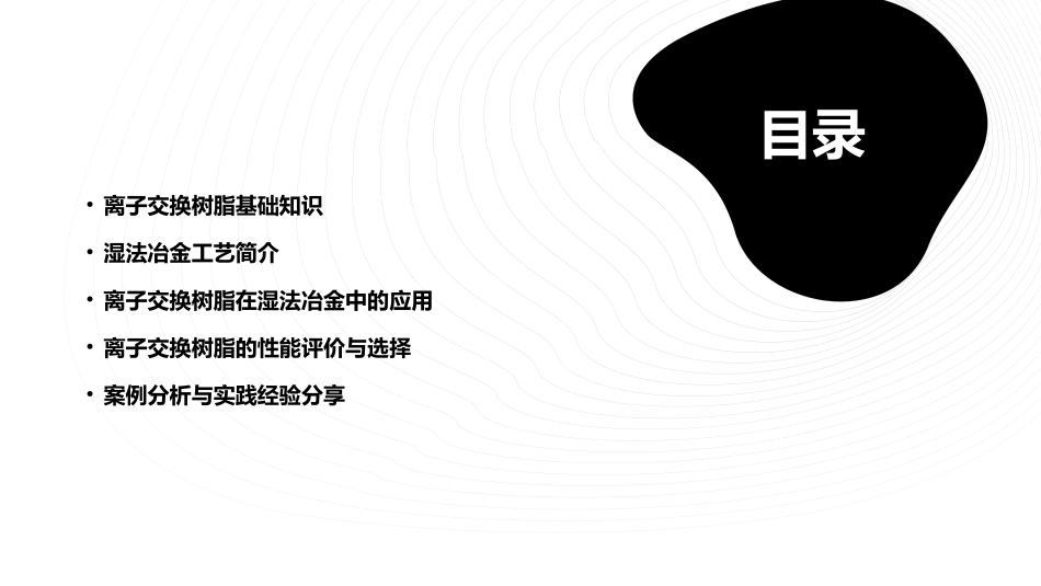 湿法冶金离子交换树脂应用手册课件_第2页