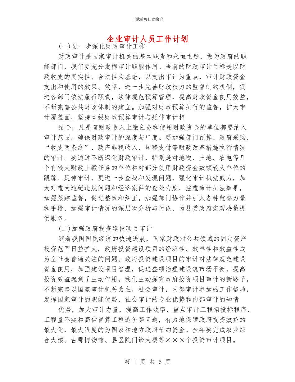 企业审计人员工作计划_第1页