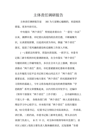 主体责任调研报告