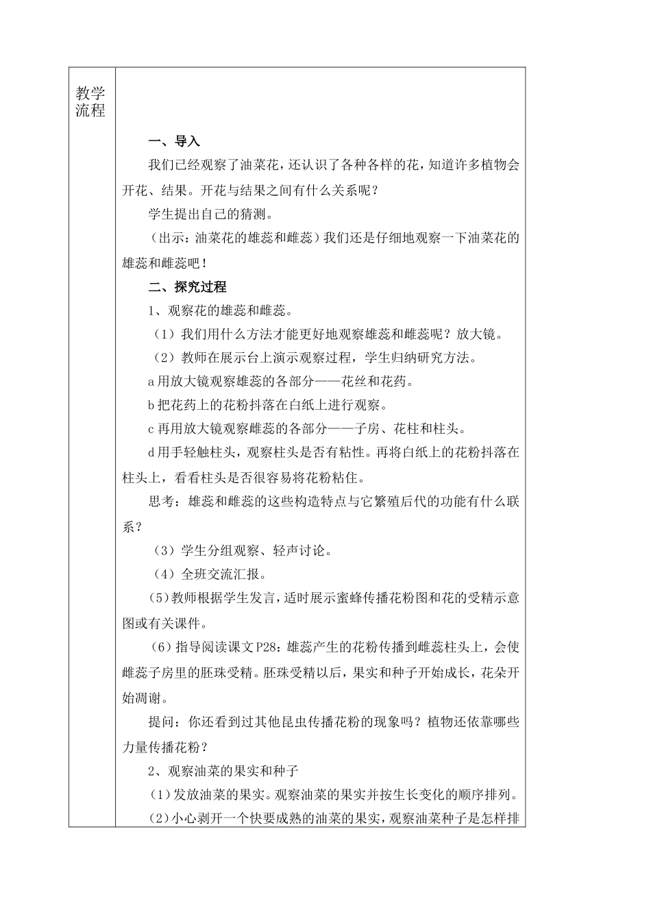 花、果实和种子_第2页