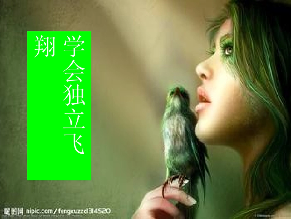 贾志玲，学会独立飞翔_第1页