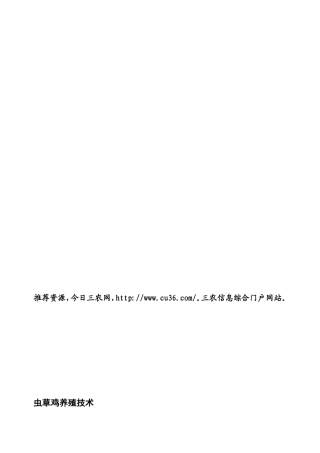 草鸡养殖技巧[教学]