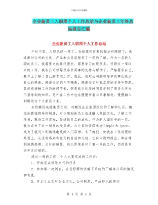 企业新员工入职周个人工作总结与企业新员工年终总结报告汇编