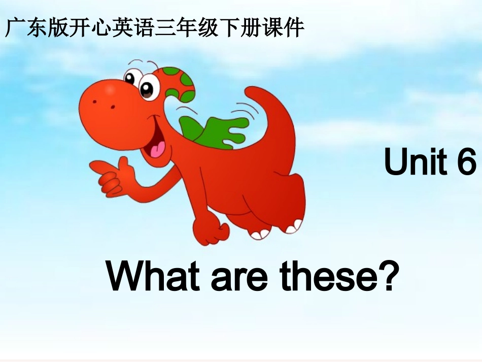 Whatarethese课件_第1页