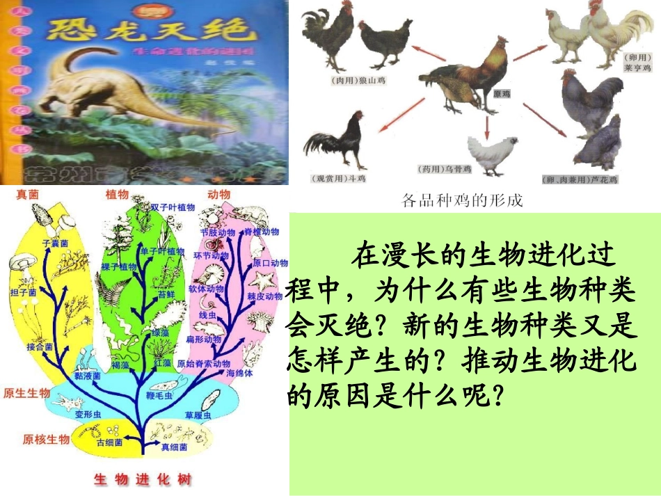 第三节　生物进化的原因_第2页