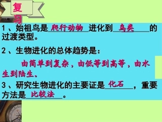 第三节　生物进化的原因