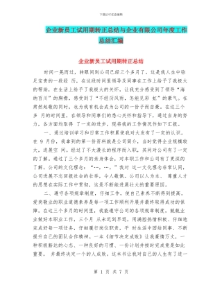 企业新员工试用期转正总结与企业有限公司年度工作总结汇编
