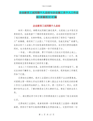 企业新员工试用期个人总结与企业施工员个人工作总结汇编